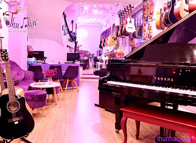 (Địa điểm mua đàn piano uy tín tại TP.HCM)