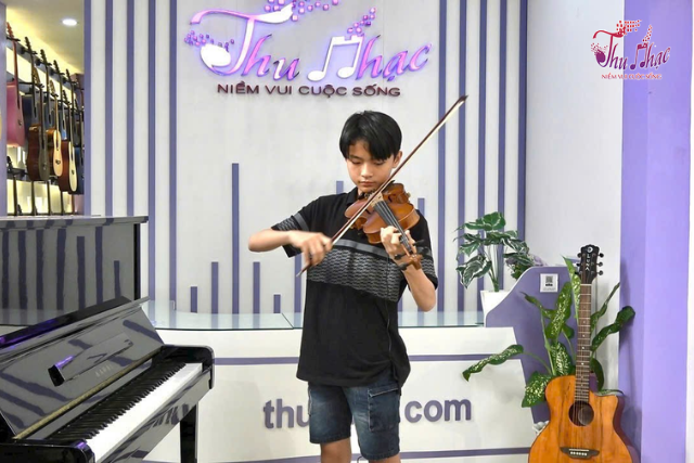 Địa chỉ sửa đàn violin tại Tân Sơn Nhì - Tân Phú