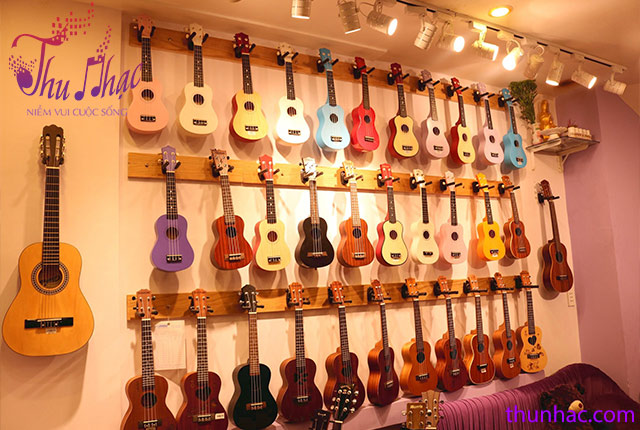 cửa hàng mua đàn ukulele uy tín tại tphcm