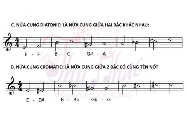 Khái niệm về cung - nửa cung