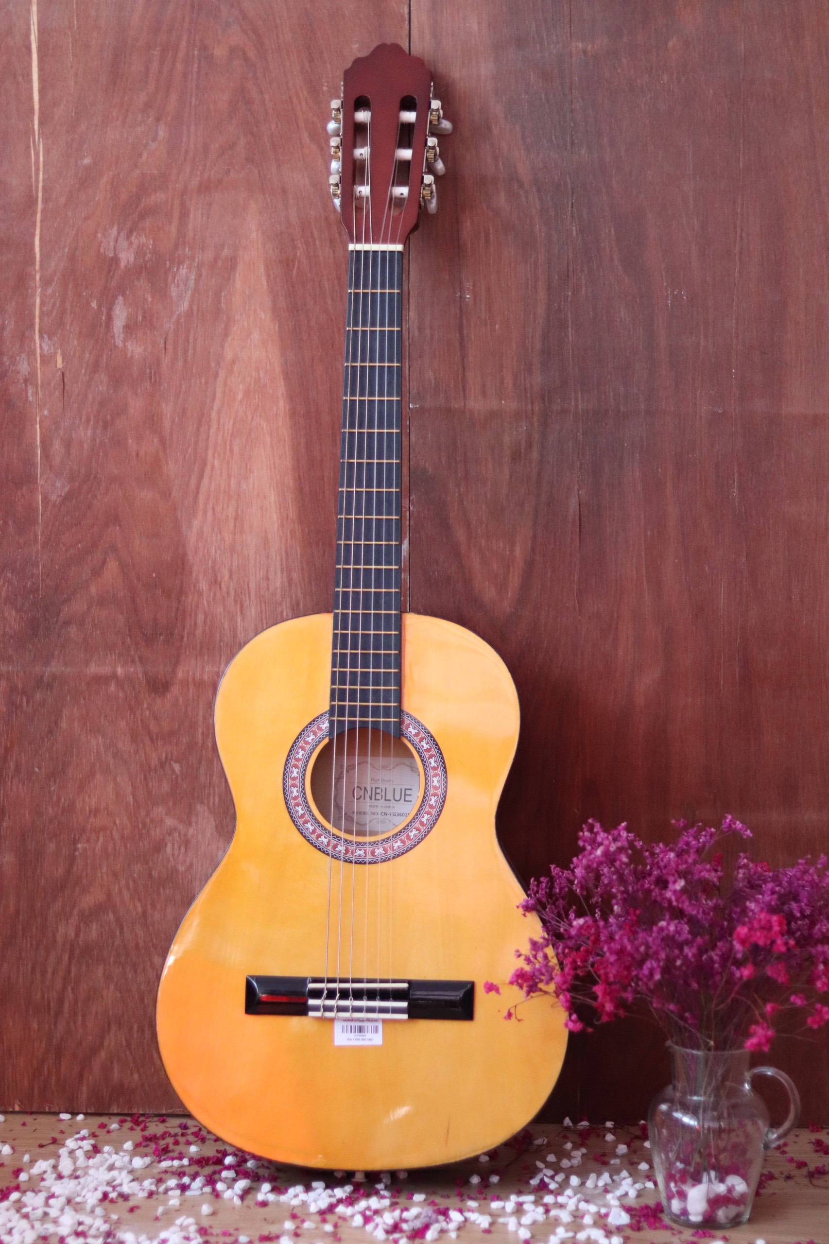 Hướng dẫn vệ sinh đàn guitar đúng cách