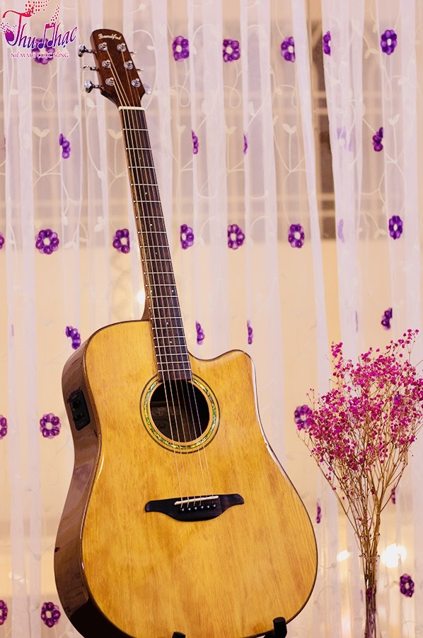 Guitar chất lượng giá rẻ chính hãng