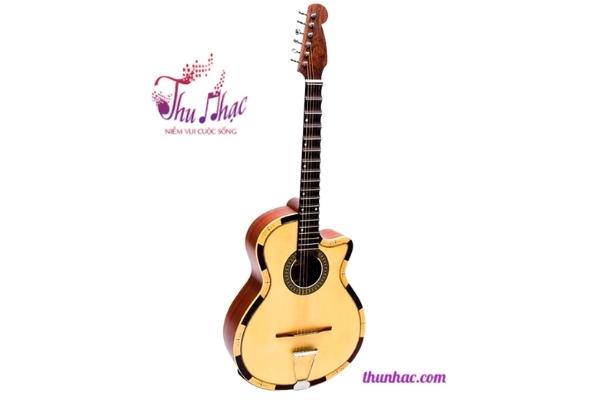 Đàn guitar vọng cổ phím lõm quận Tân Phú