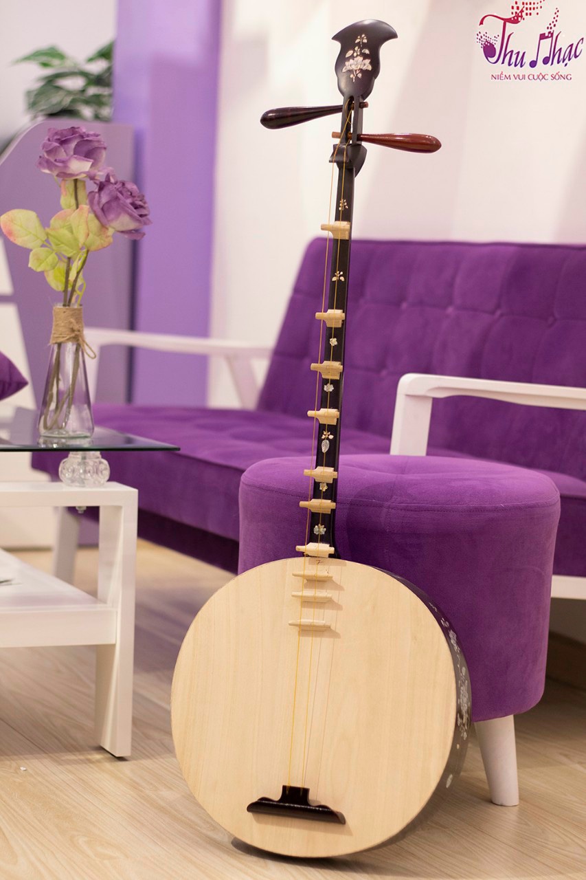 Giới thiệu về đàn kìm