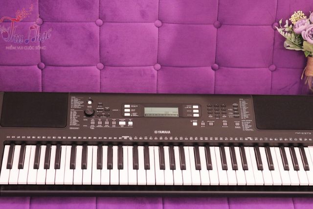 Giới thiệu về đàn organ