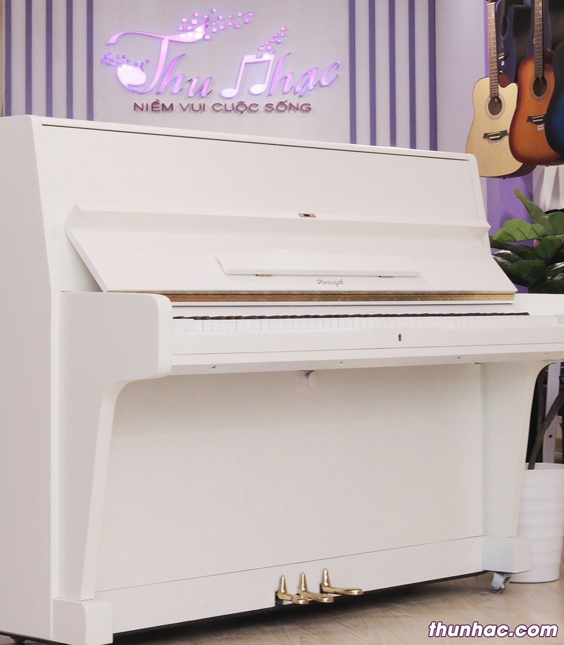 Sửa chửa đàn piano cơ quận Tân Phú