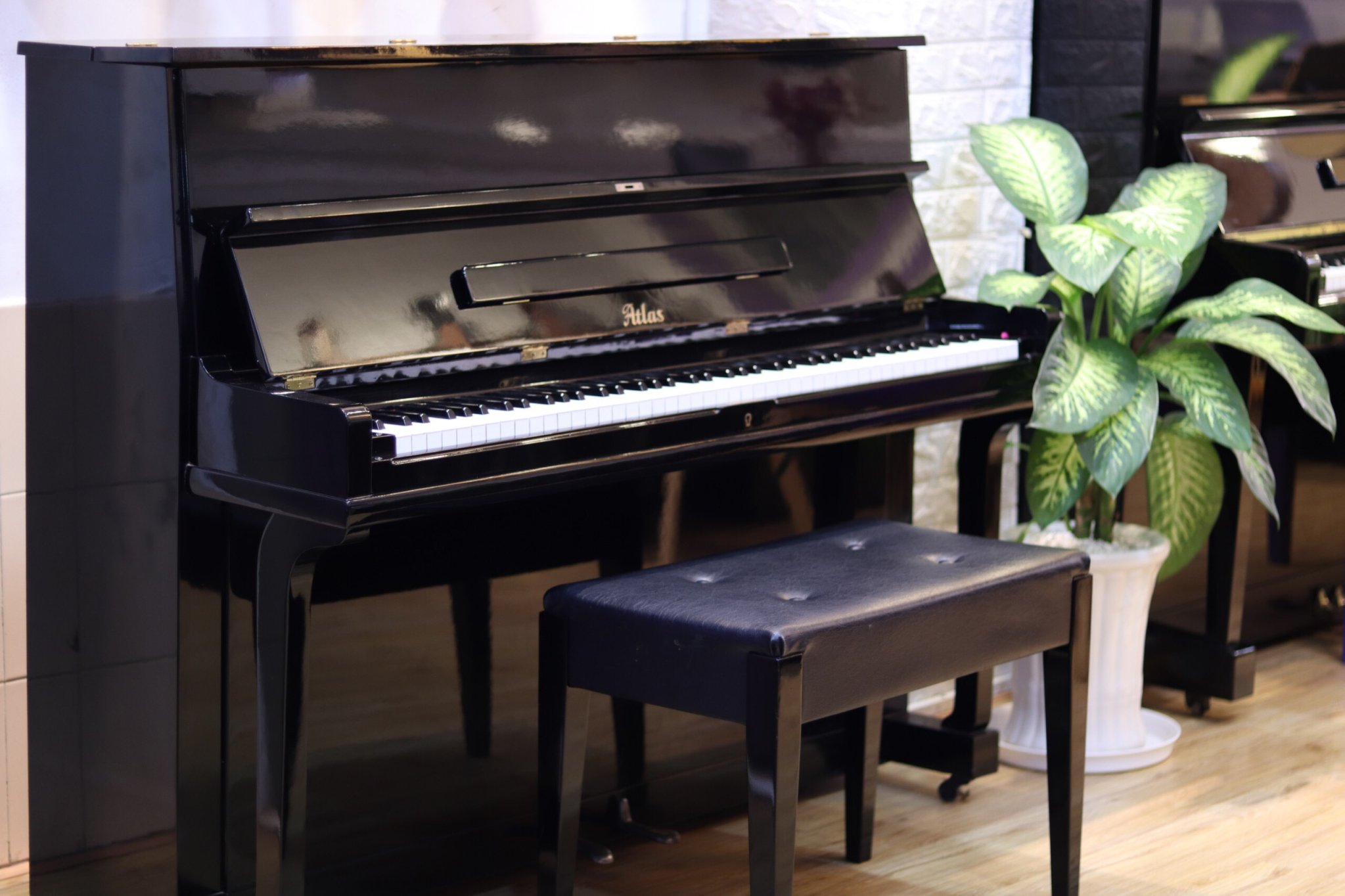 mẫu đàn piano cơ tại tphcm