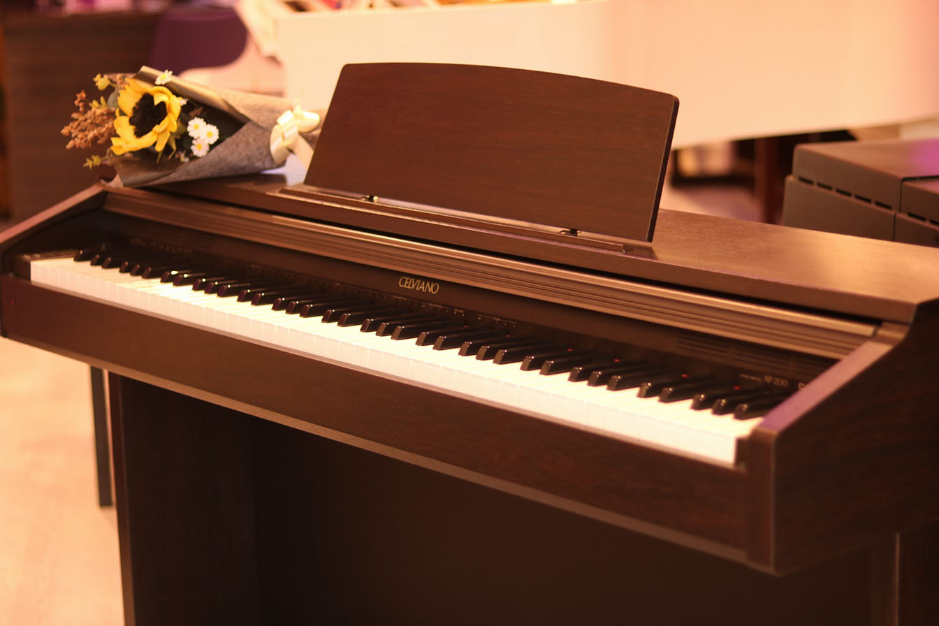 mẫu đàn piano điện tại tphcm