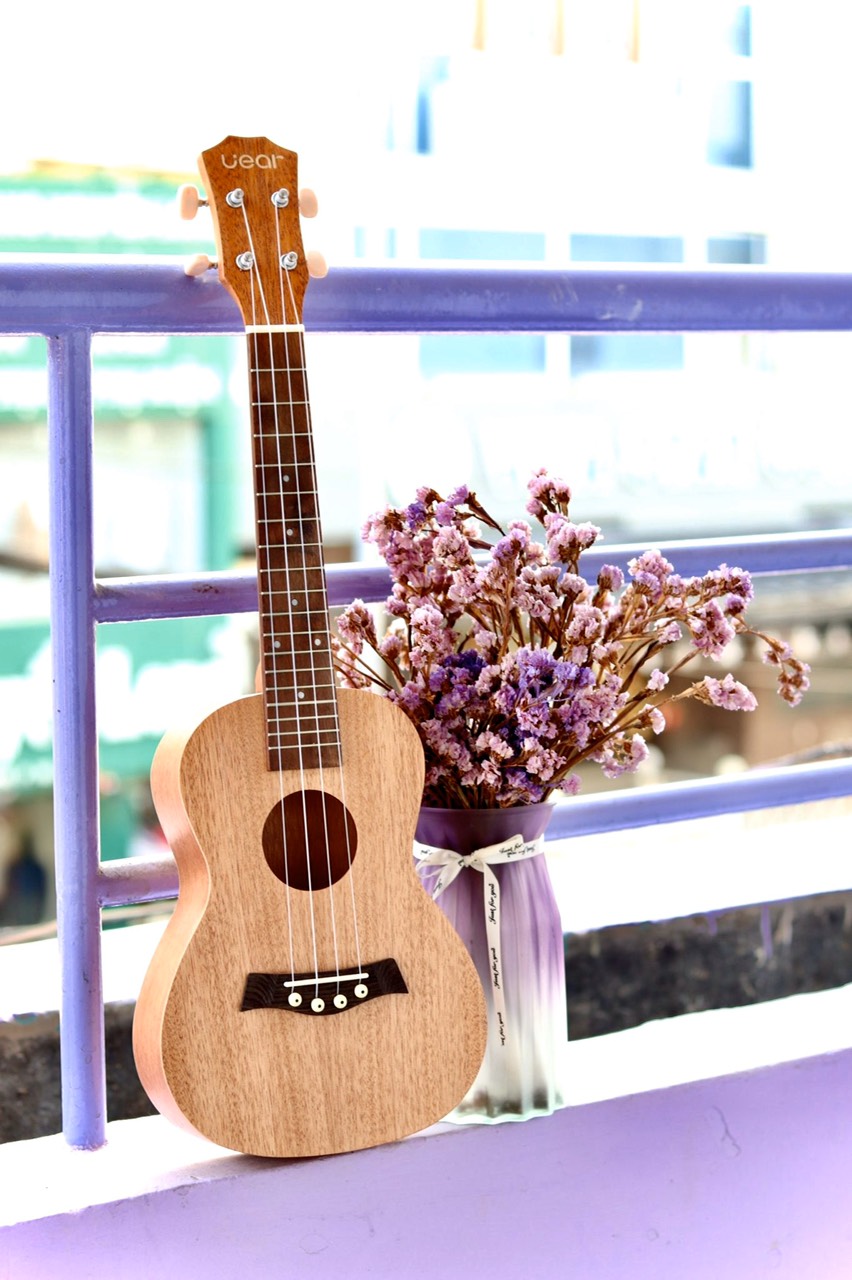 Shop mua đàn ukulele Tenor ở quận 8
