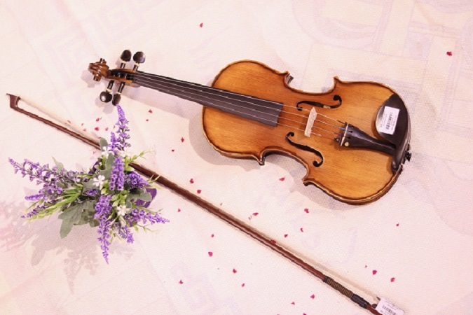 Mua đàn violin giá rẻ ở đâu tại quận 8 Tphcm ?