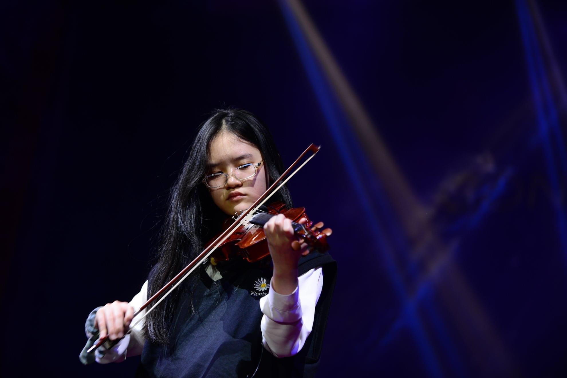 Thuê đàn violin đi diễn