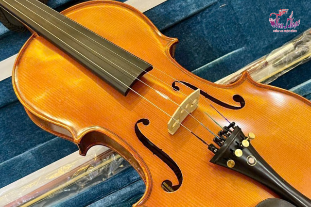 Thay dây đàn violin tại Bình Phú