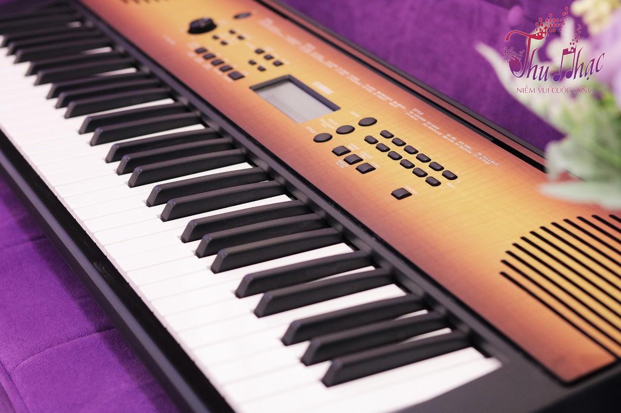 Địa điểm bán đàn Organ chất lượng quận Tân Phú