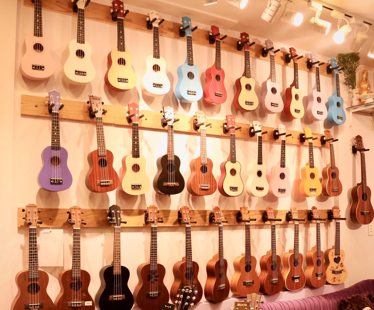 Địa điểm cung cấp nhạc cụ uy tín chất lượng tại Tân Bình TPHCM.