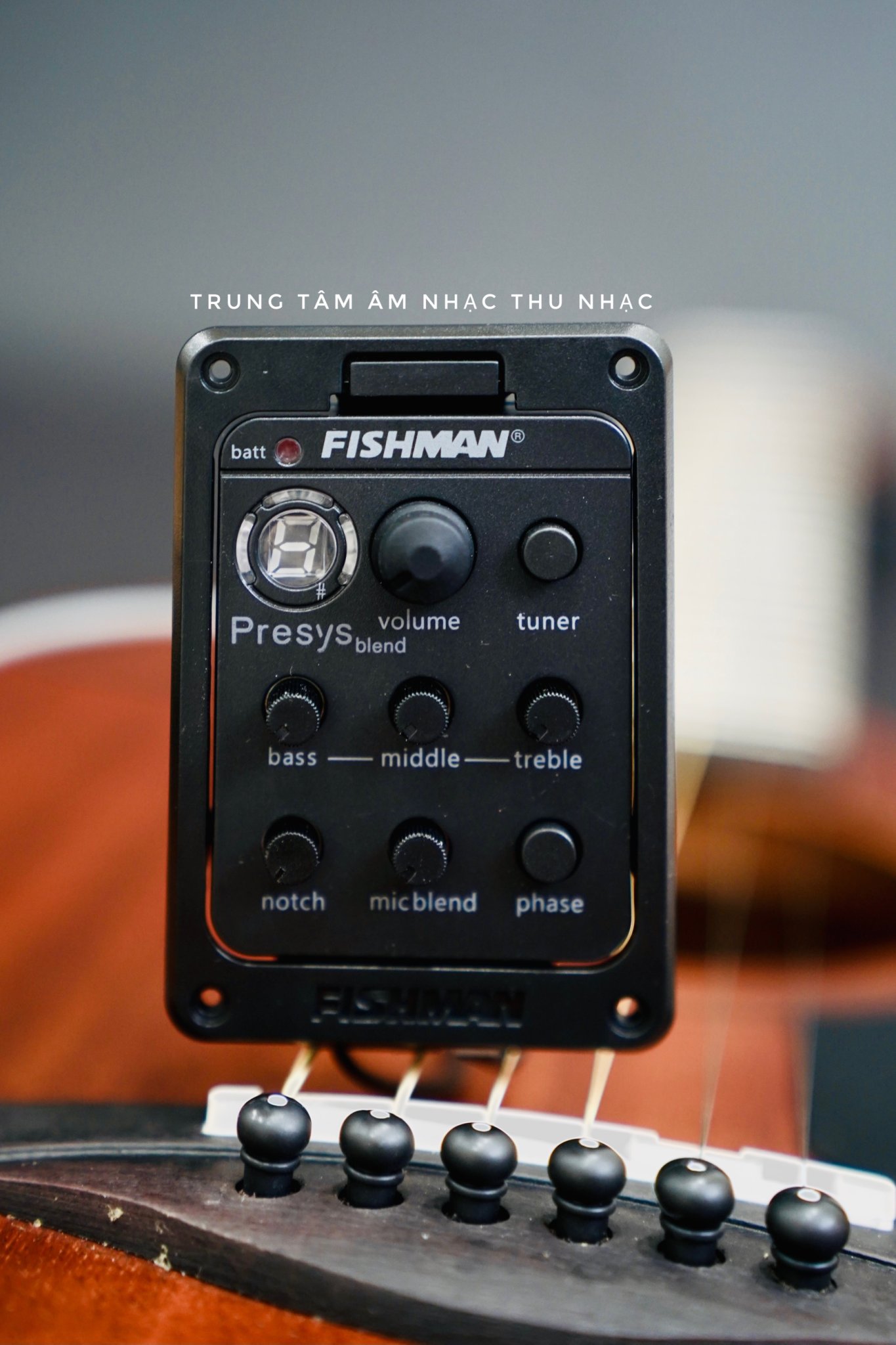 EQ guitar Fishman chính hãng