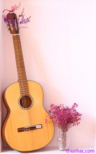 mua đàn guitar classic chính hãng