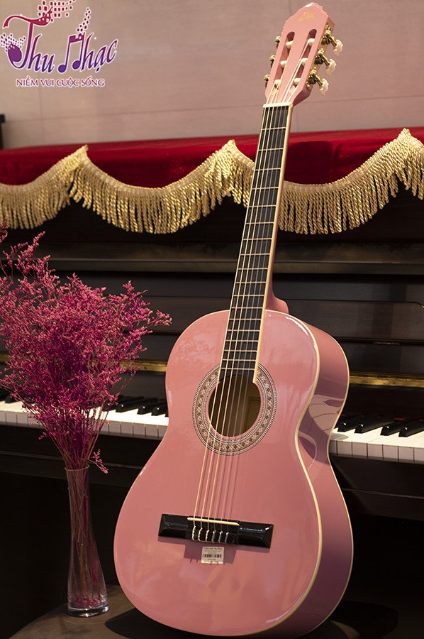 trung tâm mua đàn Guitar chính hãng giá rẻ