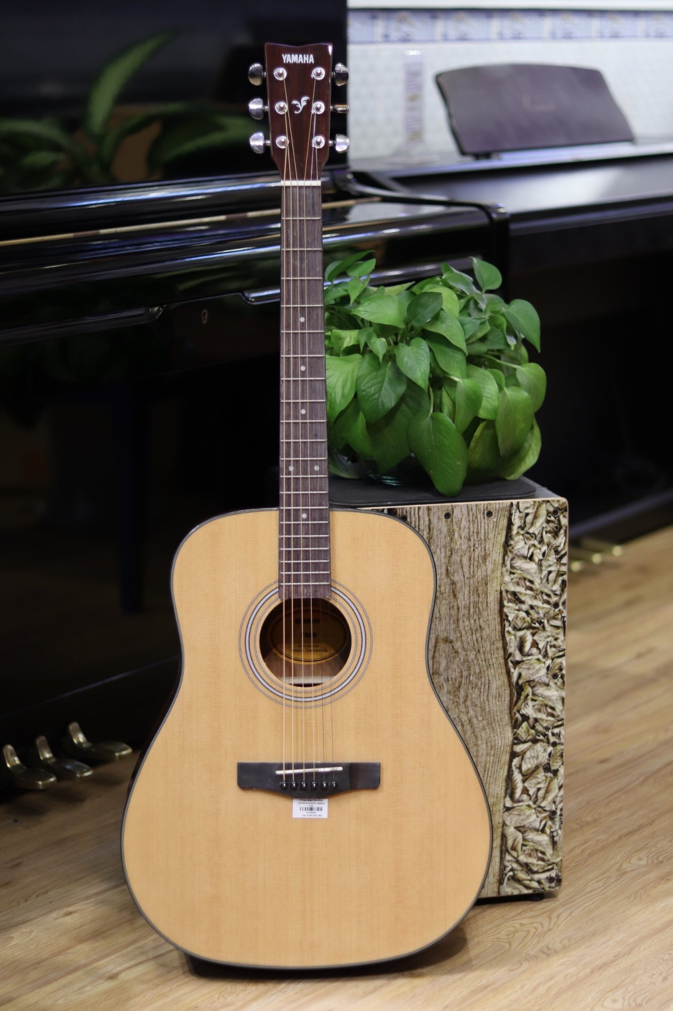 đàn Guitar yamaha giá rẻ sinh viên