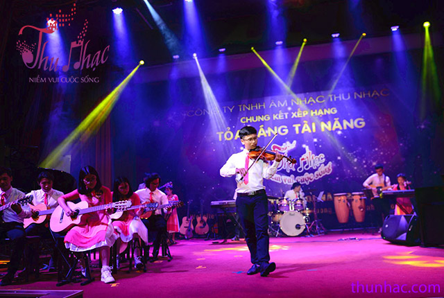 Shop bán violin uy tín tại Tphcm