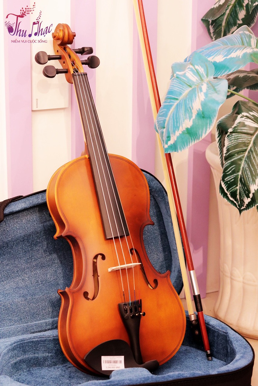 Nơi mua đàn Cello chính hãng tại TPHCM