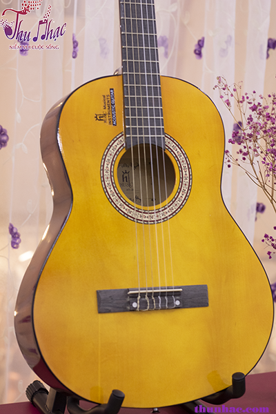 Đàn guitar acoustic HT Music giá rẻ