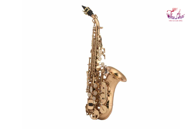 Kèn Saxophone Selmer cao cấp giá tốt