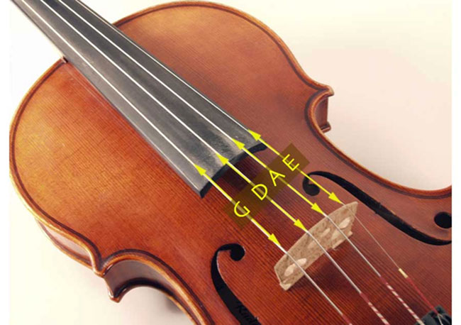 Cách lên dây đàn violin chuẩn nhất