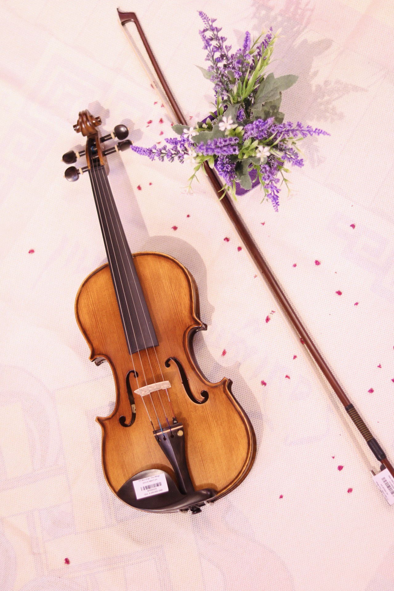 hướng dẫn cách lên dây đàn Violin đúng