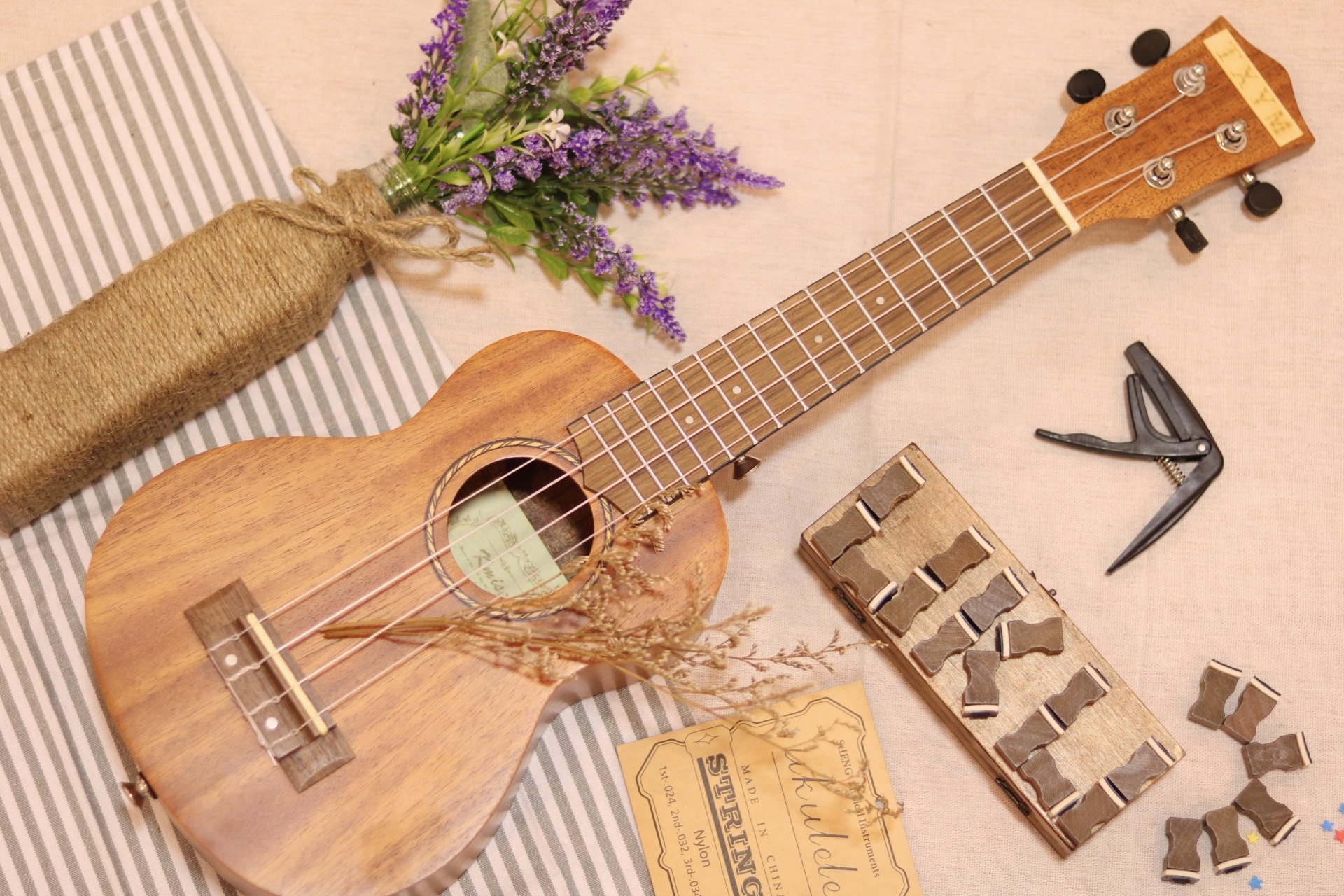 lý do cần phải thay dây đàn Ukulele