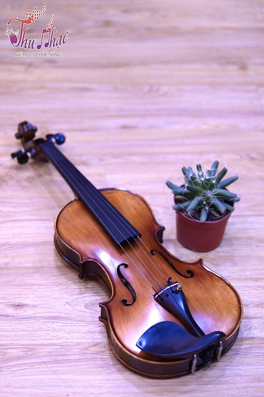 Địa điểm bán Violin giá rẻ TPHCM