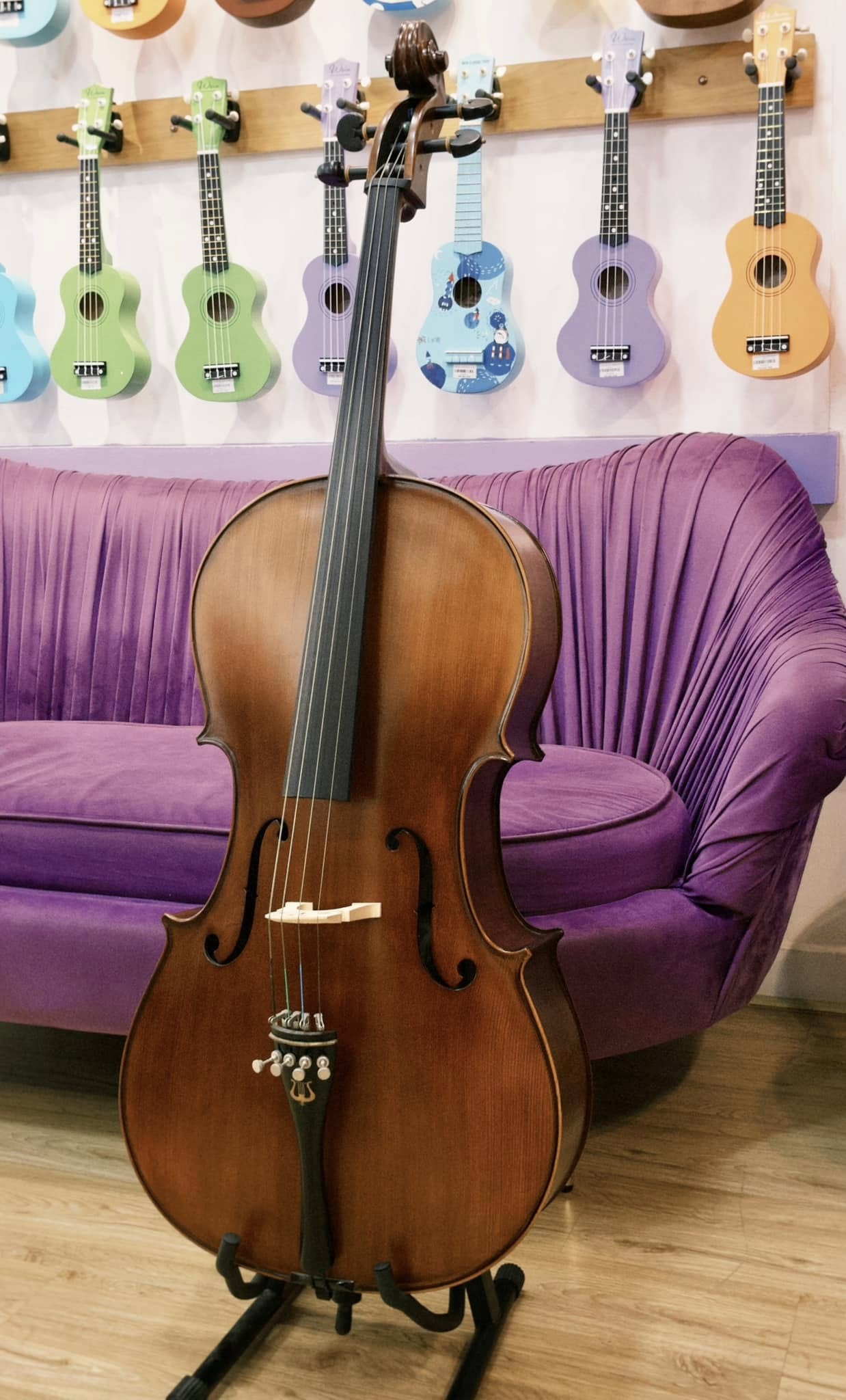 Đàn cello chính hãng