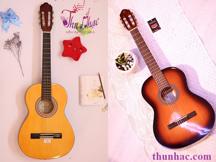 (Mua guitar acoustic tại Thu Nhạc TP.HCM)