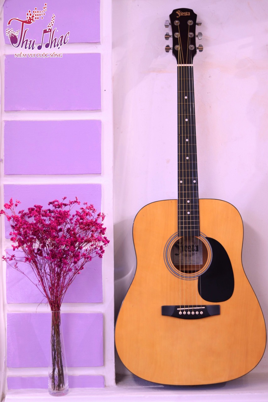 Mua đàn guitar acoustic ở quận 12 tầm giá 1 triệu