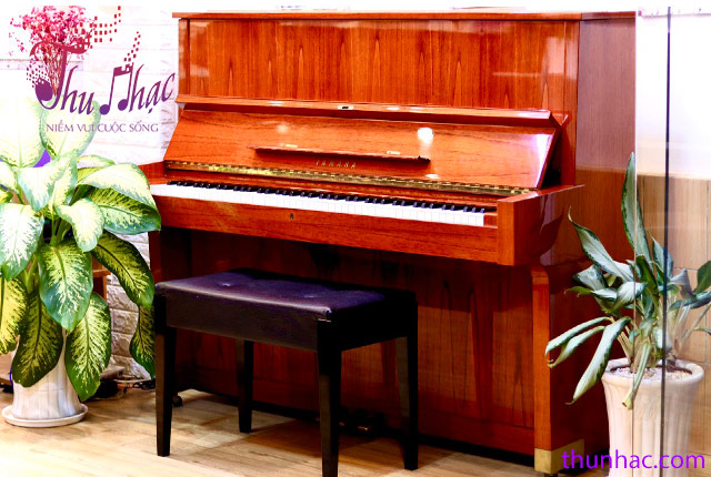 mua piano cơ yamaha tại TP.HCM)