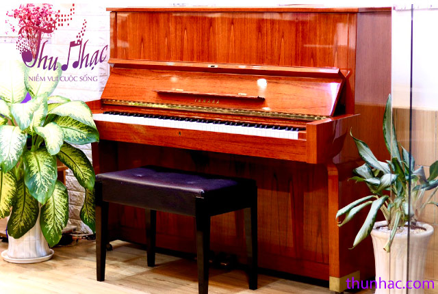 (Địa điểm mua đàn piano tại TP.HCM uy tín)