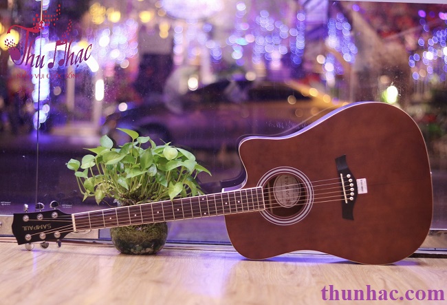 (Mua guitar acoustic thương hiệu Sampalil)