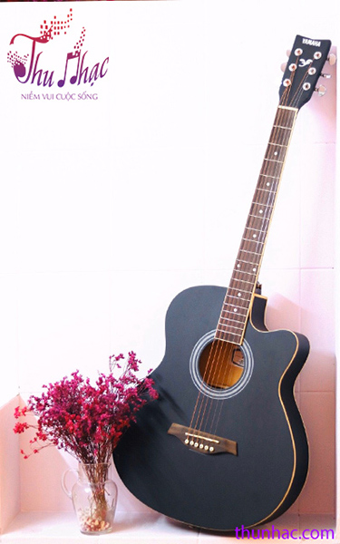 Đàn Guitar Yamaha