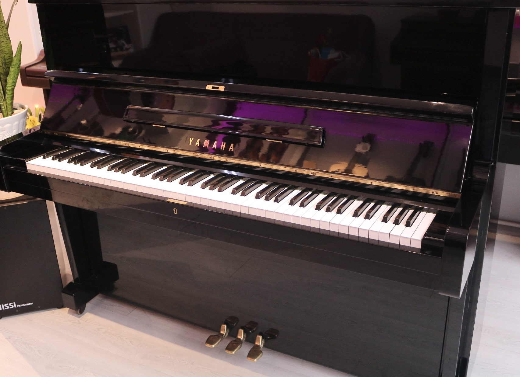 Mẫu Piano giá rẻ cho người mới