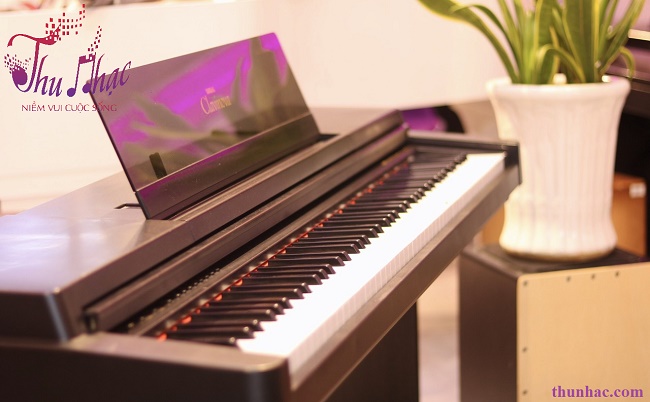 Mua piano điện Yamaha và Casio chính hãng tại TP.HCM