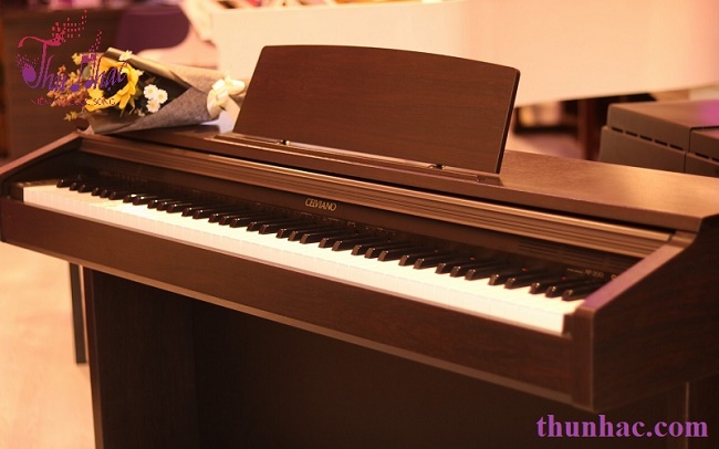 (Mẫu piano điện của Casio tại TP.HCM)