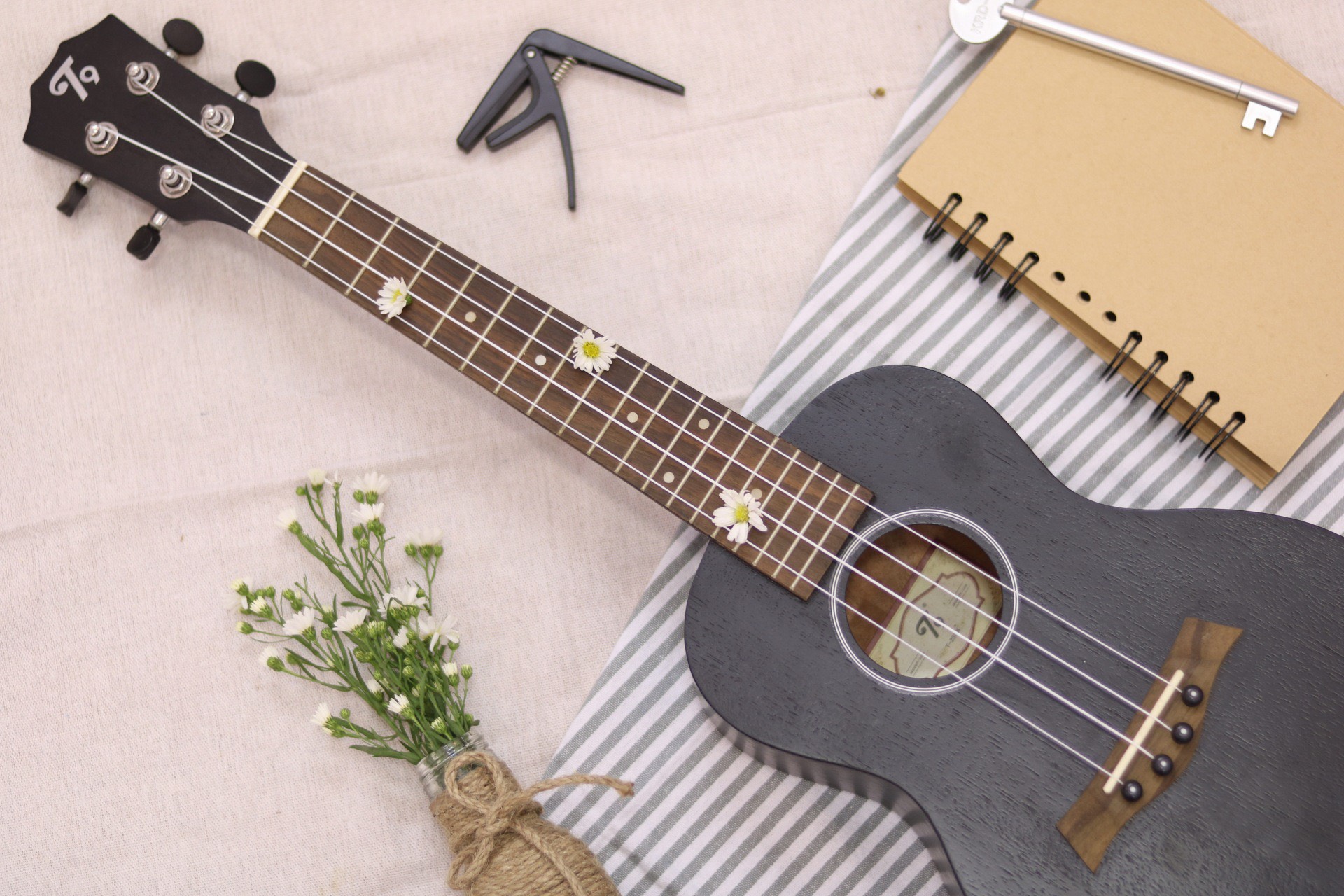 cách lên dây đàn ukulele chuẩn nhất