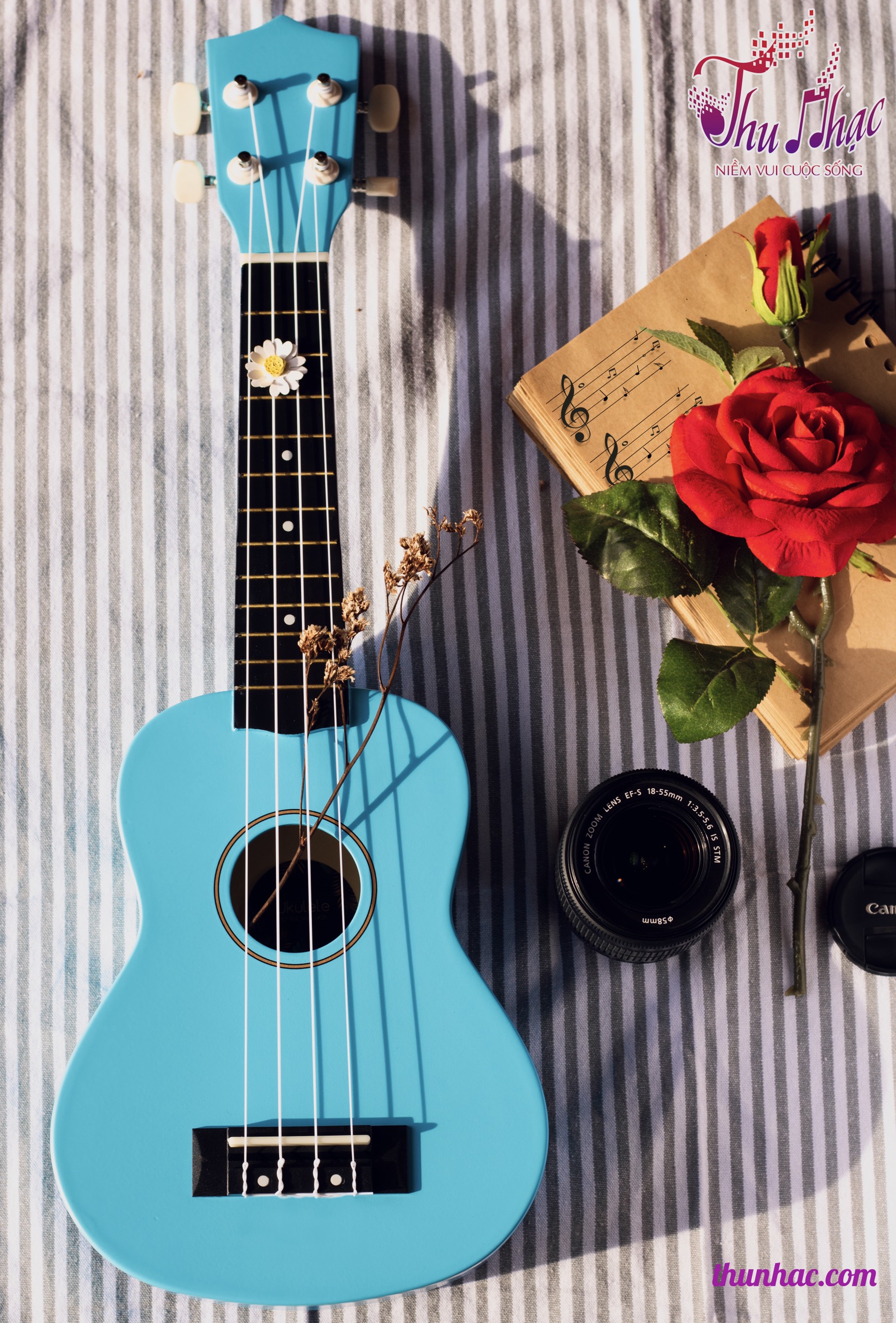 Địa điểm mua ukulele trên mạng giá rẻ uy tín