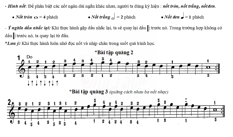 Kiến thức nhạc lý piano căn bản