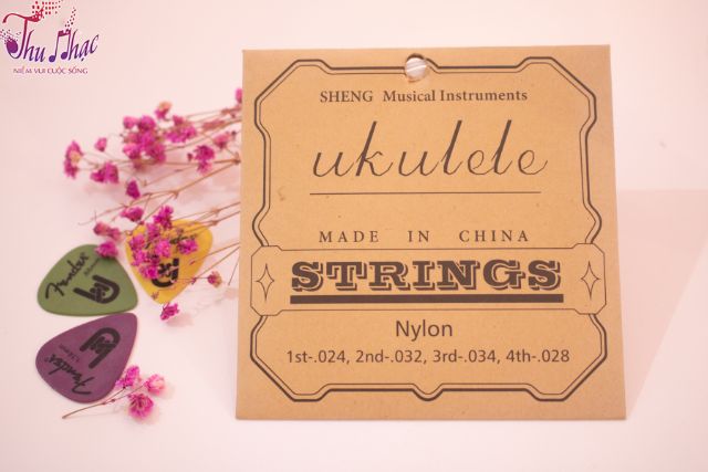 Dây đàn ukulele giá rẻ tại quận Tân Phú