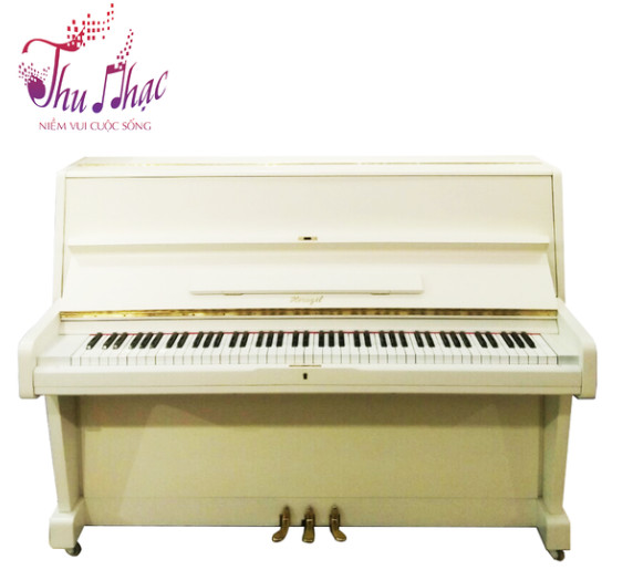 Đàn piano Horugel chính hãng WG-3