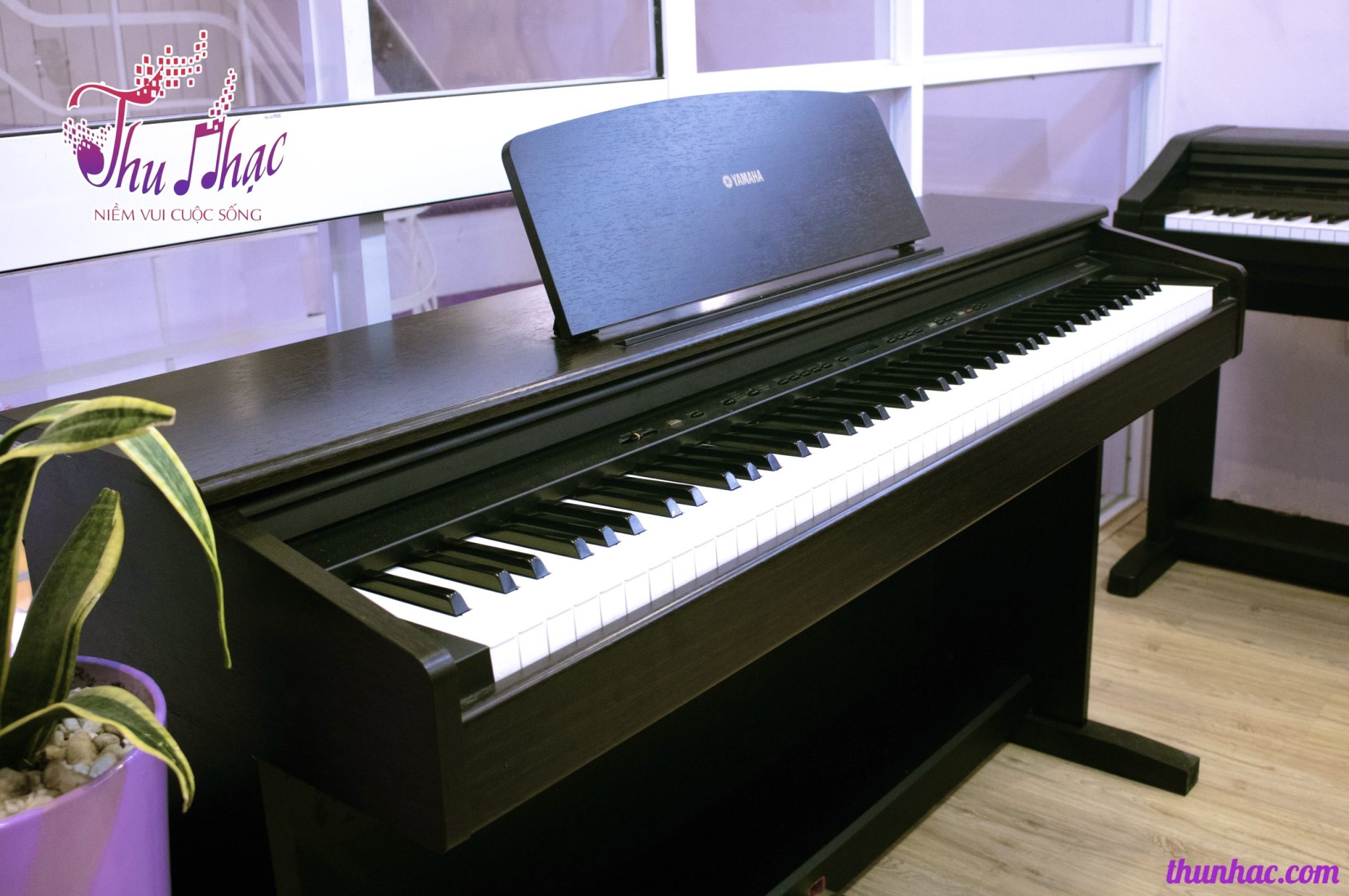 Mua đàn piano cao cấp cho người mới