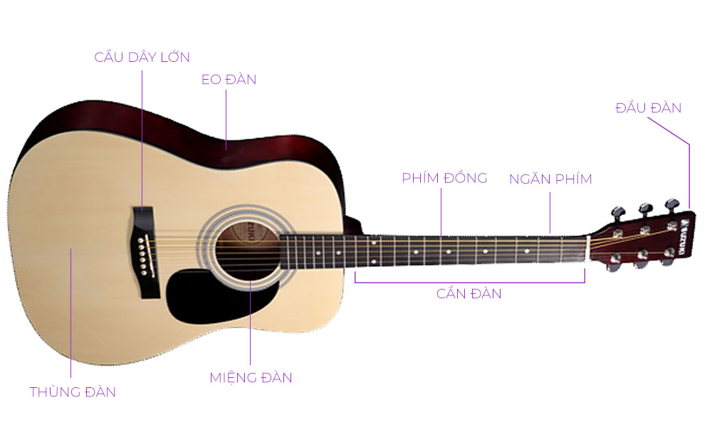 cau-tao-cay-dan-guitar