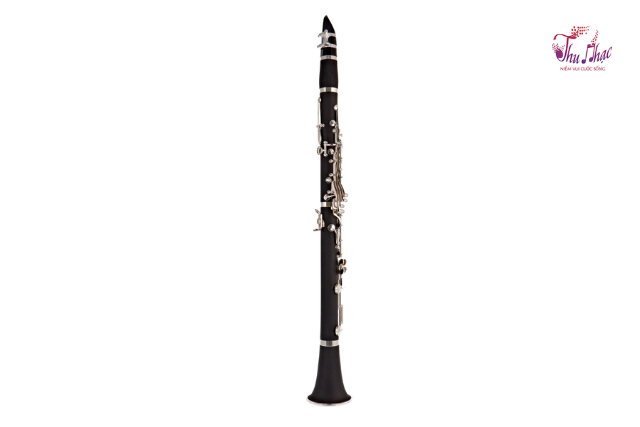 Nơi mua kèn uy tín quận Tân Phú