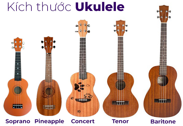 kích cỡ đàn ukulele
