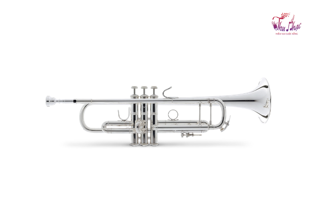 Kèn trumpet quận Tân Phú giá tốt